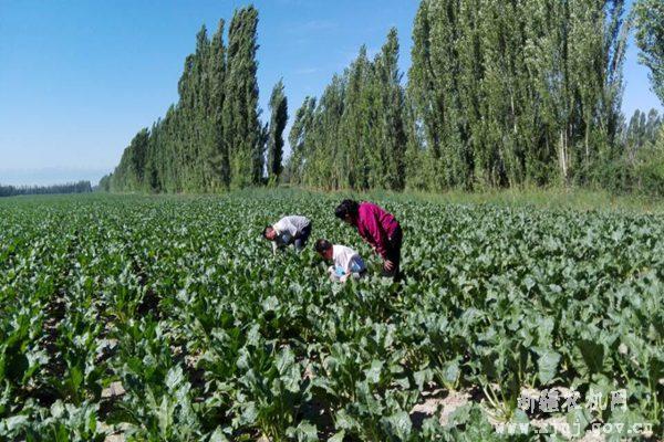 ������ũ���ּ������ش���ũ...