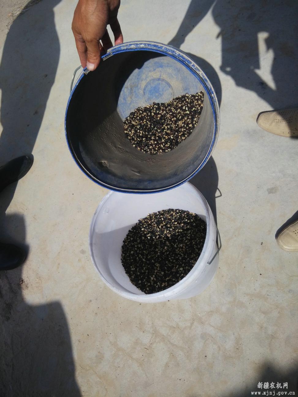 ��Ǽ��������һ̨���ɫѡ��